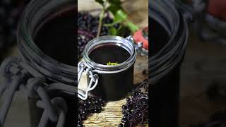 Ancient Secrets Elderberry’s Medicinal Magic [upl. by Suter]