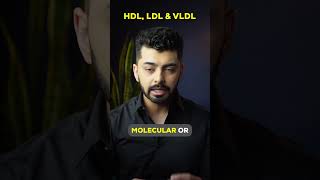 What is HDL LDL amp VLDL [upl. by Ranite]