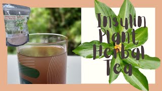 How to Make Insulin Plant Herbal Tea  Costus Igneus Tea [upl. by Adnical687]