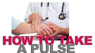 How to take a pulse [upl. by Dnalyram]