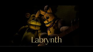 Labyrinth SFMFNAF [upl. by Nivrad849]