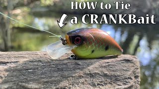 How to Tie a CRANKBait EASY Fishing Line Knot How to Tie the Palomar Knot Fast Fishing Knots [upl. by Henghold]