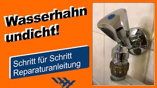 Wasserhahn undicht Reparaturanleitung zum Austausch des Hahnoberteils [upl. by Haras]