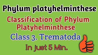 Phylum platyhelminthese classificationTrematodes ClassificationTrematode Character Trematodes [upl. by Bakeman]