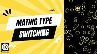 Mating Type Switching  Recombination in Gene Regulation  Recombination  Basics to Advance [upl. by Mor]