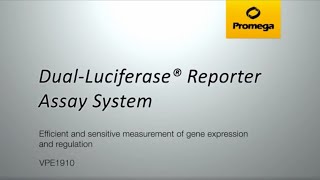 DualLuciferase® Reporter Assay System [upl. by Ocinom]