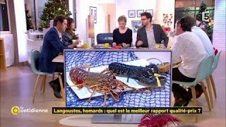 Langoustes homards  quel est le meilleur rapport qualitéprix [upl. by Jeannine]