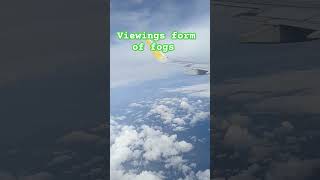 Viewing form of fogs airplaneflying shorts November 16 2024 [upl. by Eteragram]