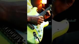 HOTEL CALIFORNIA  Eagles guitarsolo [upl. by Otnicaj]