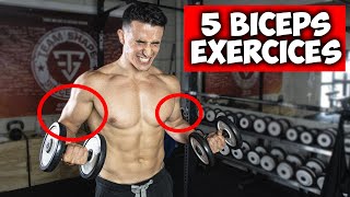 Des bras plus gros en 30jours  5 exercices biceps [upl. by Aciras]