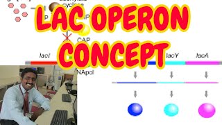 LAC OPERON concept  TAMIL ELABORATE EXPLANATION [upl. by Tania]