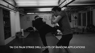 Tai Chi Palm strike drill  random applications [upl. by Olethea587]