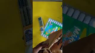 UNBOXING ACRYLIC MARKERS AND MICRONS [upl. by Bloem882]