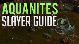 Aquanite AFK slayer guide  Runescape 3 [upl. by Danuloff]