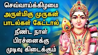 TUESDAY SPL MURUGAN TAMIL DEVOTIONAL SONGS  Murugan Bakthi Padalgal  Murugan Tamil Devotional Song [upl. by Okkin528]