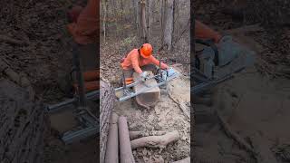 Alaskan Chainsaw Mill on heavy black walnut tree chainsaw demo [upl. by Ecinuahs]