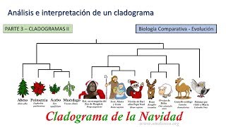 Cladogramas II  BiologiaXXI [upl. by Imoyaba]