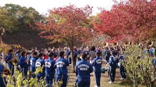 藤重佳久先生最後の全国大会 2014 精華女子 第２７回全日本マーチングコンテスト 練習風景 CEREBRATION GOD SPEED [upl. by Brinson]