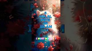 5 halal pets in islam❤ islam islamicvideo shortsfeed wayofsuccess [upl. by Hannis]