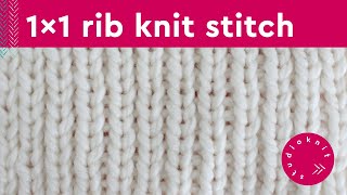 1x1 Rib Stitch Knitting Pattern for Beginners 2 Row Repeat [upl. by Orelie]