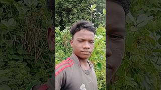 Dular dumkasong lovenew santali song santhali song [upl. by Hgieliak]