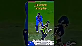 Dhonis All Stumping 🔥🇮🇳 shorts shortvideo msdhoni [upl. by Annaeerb]