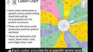 CH450 Chapter 14 Foundations in Genetics and Evolution [upl. by Inittirb]