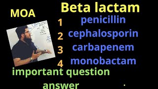 penicillin  cephalosporin carbapenem monobactam  beta lactam mechanism of action MOA [upl. by Bondon]