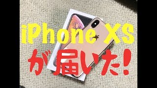 【iPhone XS】ドコモオンラインショップで購入 開封・初期設定 [upl. by Walden696]