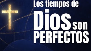 LOS TIEMPOS DE DIOS SON ¿PERFECTOS  EL SANTO ROSARIO DE HOY [upl. by Pahl]