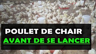 POULET DE CHAIR Ce quil faut savoir avant de se lancer dans cet élevage Budget et Rentabilité [upl. by Nomzzaj]