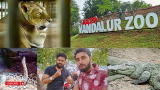 A wildlife Adventure in Chennai  VANDALUR ZOO  SVC VLOGS [upl. by Niel]