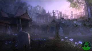 Fable II Soundtrack  Bowerstone Cemetery [upl. by Noiramed]