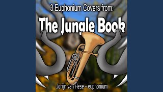 The Bare Necessities Euphonium Cover [upl. by Byran907]