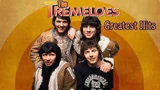 The Tremeloes Greatest Hits Collection Best Of The Tremeloes [upl. by Euqnomod]