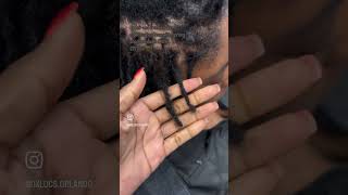 Loc repair 200 locs no retwist [upl. by Blight993]