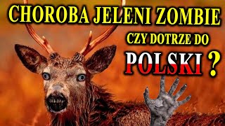 Inwazja Jeleni Zombie  Są Już w Europie  Czy Pojawią się w Polsce [upl. by Cobb]