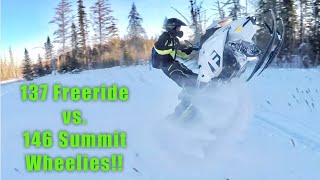 137 Freeride vs 146 Summit Wheelies [upl. by Cottrell]