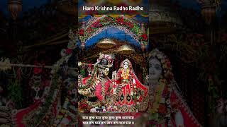 জয় জয় রাধারো মনো হরি বল Bhaktikatha shorts krishnabhakti bhakti hare [upl. by Gibbons]