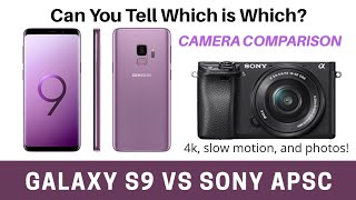 Samsung Galaxy S9 VS Sony Mirrorless Blind Camera Comparison  Can You Tell The Difference [upl. by Duggan]