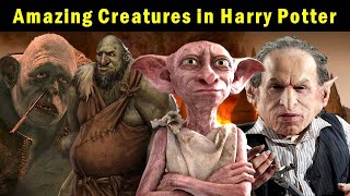 Amazing Creatures in Harry Potter  Explained in Hindi [upl. by Ahsercal360]