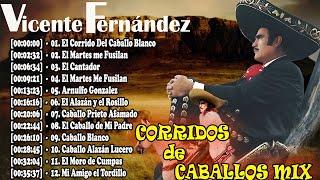 Vicente Fernández MIX Exitos 2024  Vicente Fernández Corridos de Caballos Éxitos 🎠🎠 Álbum Completo [upl. by Nohsar616]