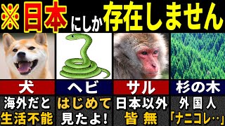 「日本以外で生きられません」訪日外国人が感激した日本固有の生き物６選【ゆっくり解説】【海外の反応】 [upl. by Audy127]