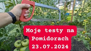 Moje testy na Pomidorach drożdże kwasek cytrynowy gnojówka banany [upl. by Rebekkah44]