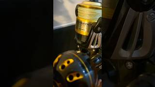 Shimano Baitrunner 8000D Reel Drag Sound 🎣🇳🇿 [upl. by Isdnyl60]