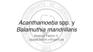 Acanthamoeba spp y Balamuthia mandrillaris [upl. by Parrnell]