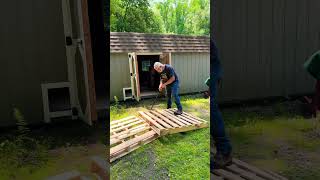 Reclaimed pallet wood for our chicken coop project homesteadlife frugalliving chickencoop pallet [upl. by Aratehs]