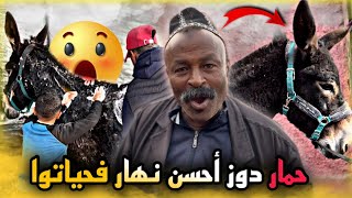 أشهر حمار في المغرب دوز أحسن نهار فحياتوا ✅ ونهاية كار—تية🫣 طاكي داك صاحبك قوليه مافيك خير 😂 [upl. by Acirtal]