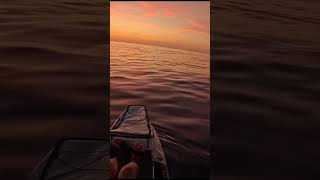 Πήρα ΨΑΡΙ την πιο μαγική ώρα 😱😱 fishing fishinglife fisherman ψάρεμα kayakfishing [upl. by Rolyak]