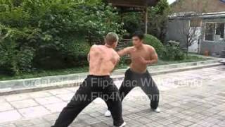 Master Xu YiZhen TaiChiChuan Sparring [upl. by Sisely]